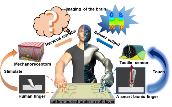 539D987D424BE61FF73A76C9E7D_C00E5E65_13E743