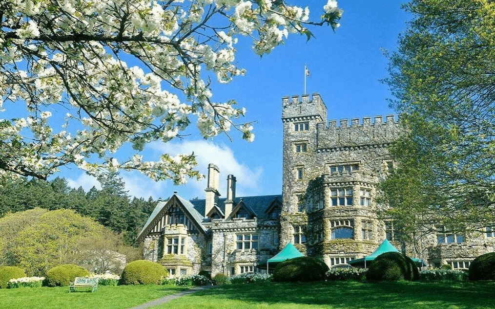 0CAD259D1038DC1F4DED5C1D7C3_E44EACC7_78329