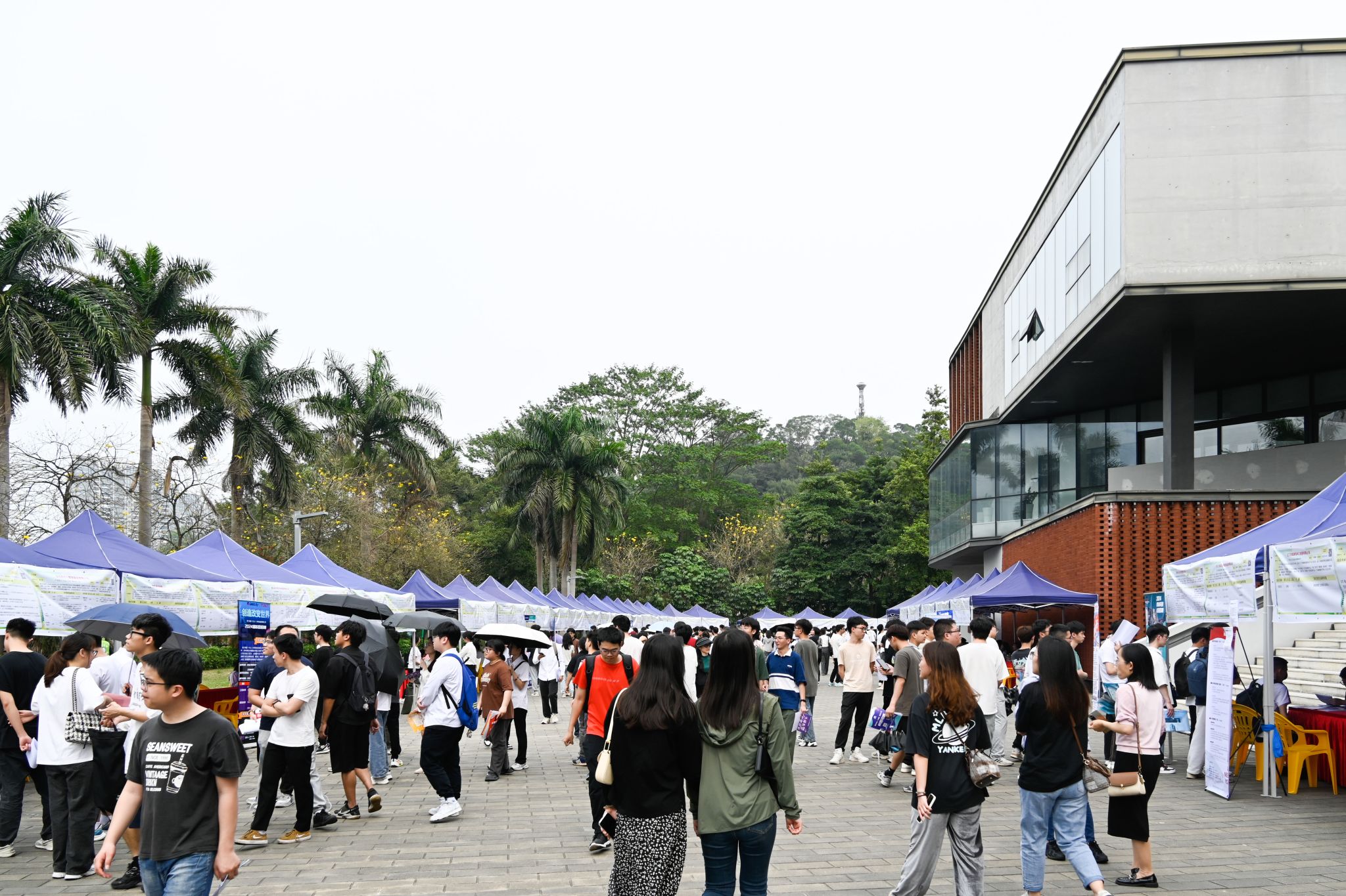 8FAB82026D9C3D3337CA78FE54F_2C50B7AF_793D0 8FAB82026D9C3D3337CA78FE54F_2C50B7AF_793D0