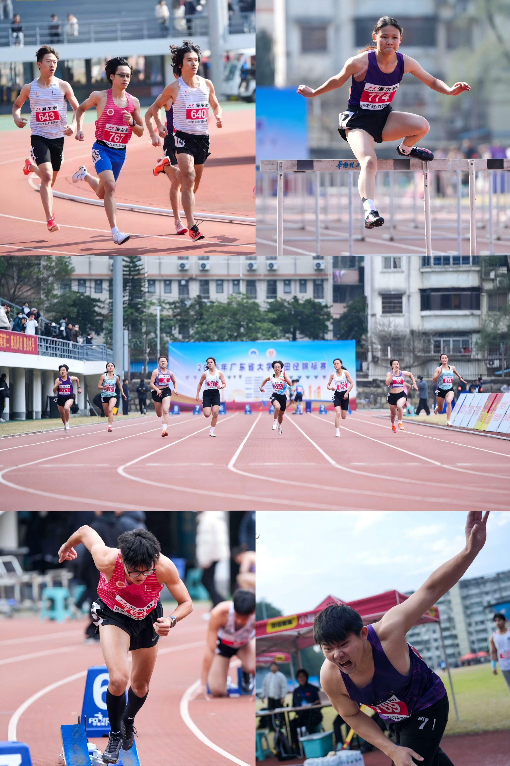 E5BF05044EE393921D9AC391181_C8A67C5A_A06BE