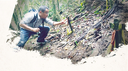 8A4522746E44B9BD9EFAC7A9B64_4AABB47E_37945 8A4522746E44B9BD9EFAC7A9B64_4AABB47E_37945