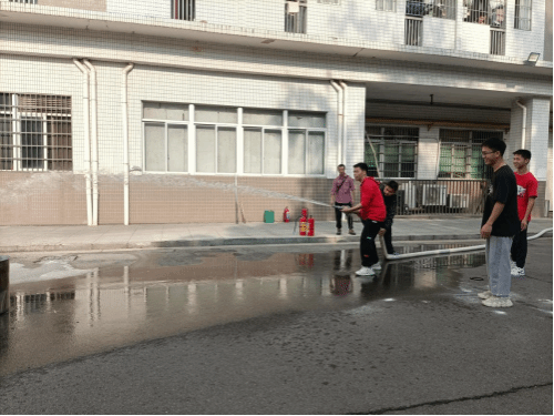 A1503CAB185E7B1C4948FFD4C3C_3ECECEE2_1D202