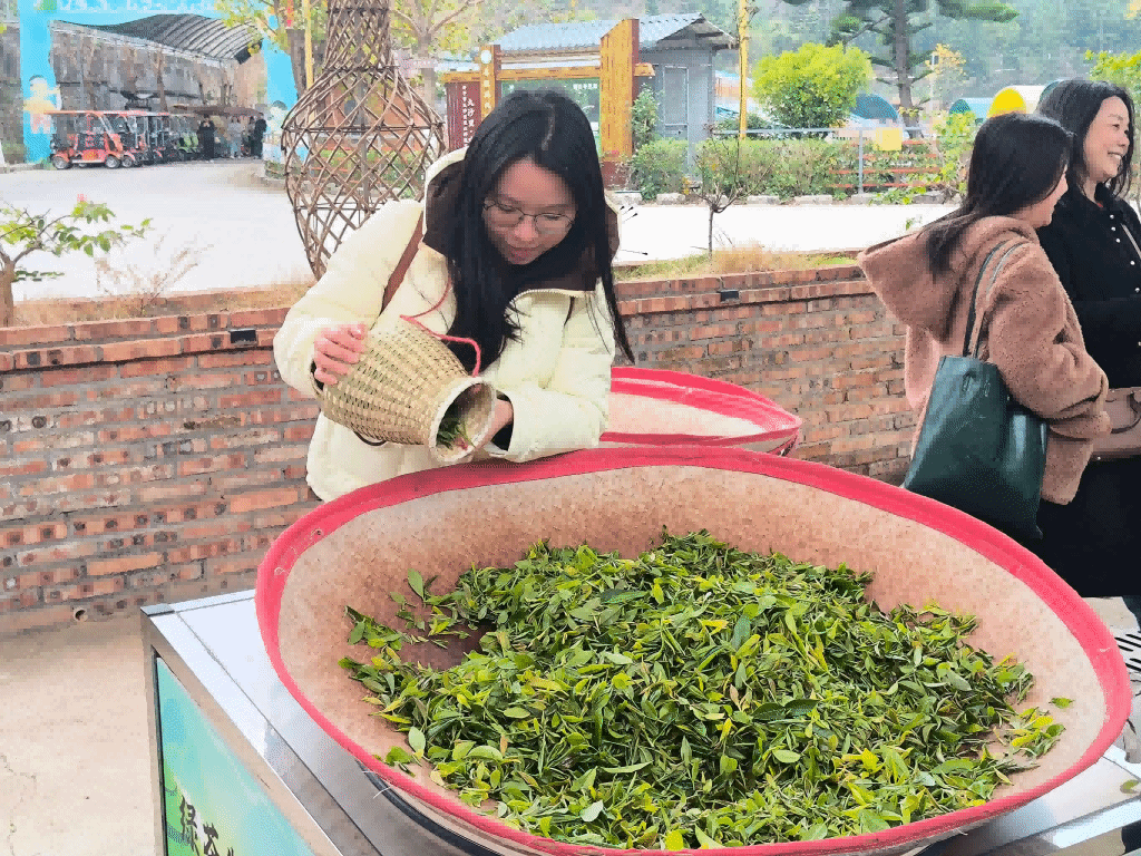 1482090BA9C004E81DA86FB51C0_7C4DC382_730FB 1482090BA9C004E81DA86FB51C0_7C4DC382_730FB