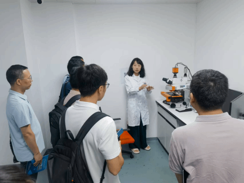 D10E05B3C833FE24E68908E7EF9_C3B1AC78_1105E