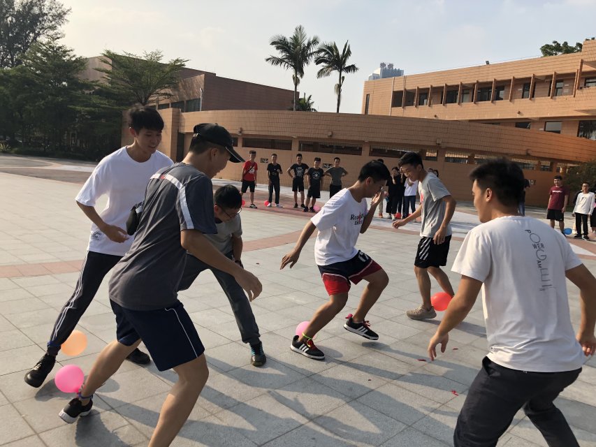 D786648F376504FB91CE831DE6B_C5AE9C8C_1FE55