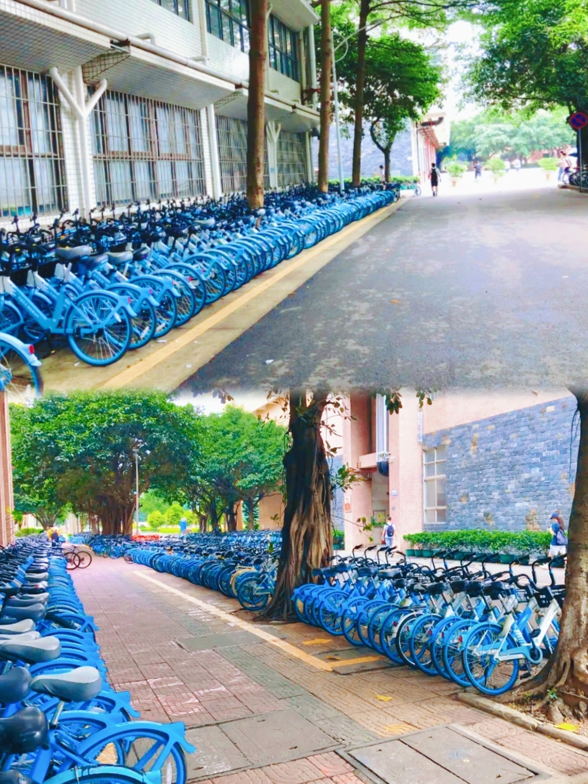 D74EF59AB29477C6D4CD5E18BDB_2D84B669_C5F47 D74EF59AB29477C6D4CD5E18BDB_2D84B669_C5F47