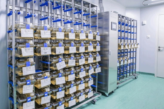 761FF278C7DBFA9085EA2D61323_885B940A_21014