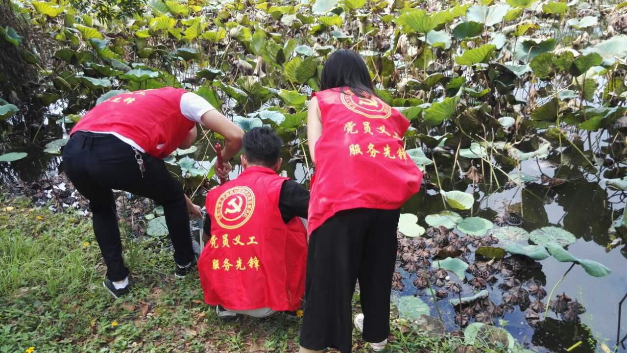 C6127D817D3E3EC91C3ACAF66CD_A3313D88_31385