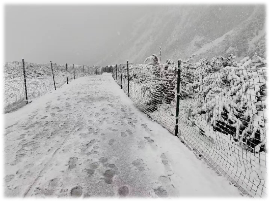 221210242920641217.png 221210242920641217.png