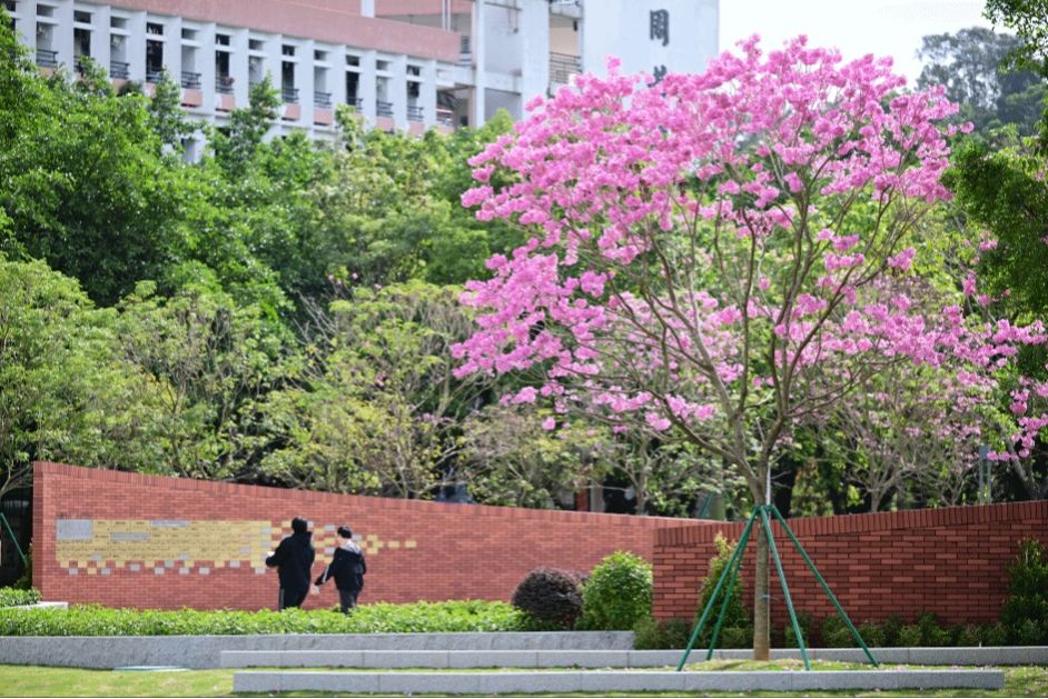 Ҽ������app����(�й�)�ٷ�������