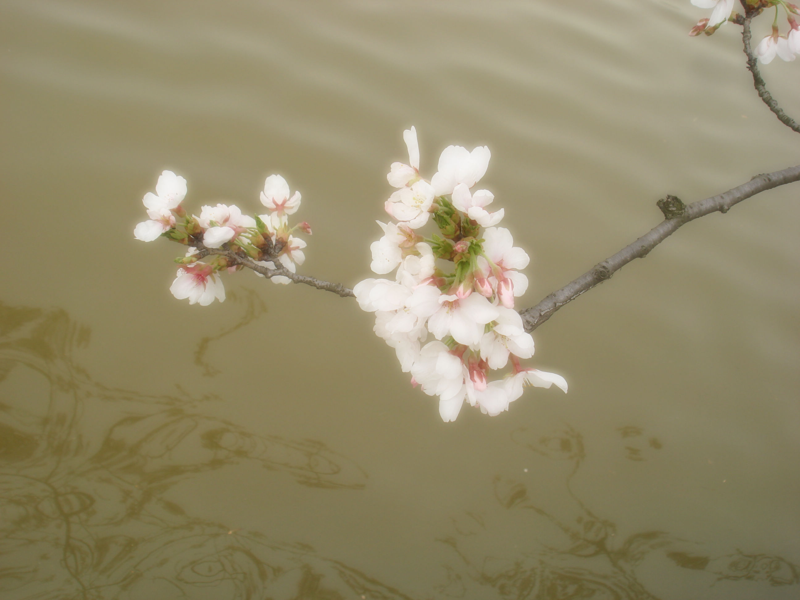 A09619188409486859AB292981F_167DDFB8_4EBEC.jpg?e=