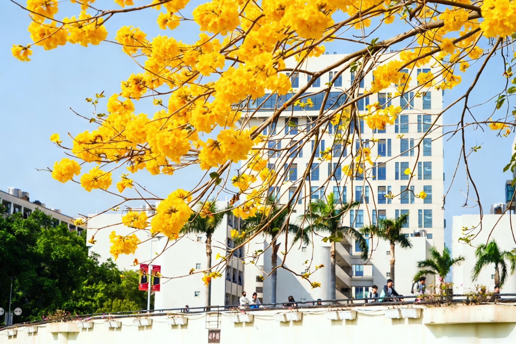 Ҽ������app����(�й�)�ٷ�������