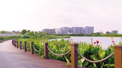 690D66B3DCB8BA42E459858897C_D96DD6BB_12678