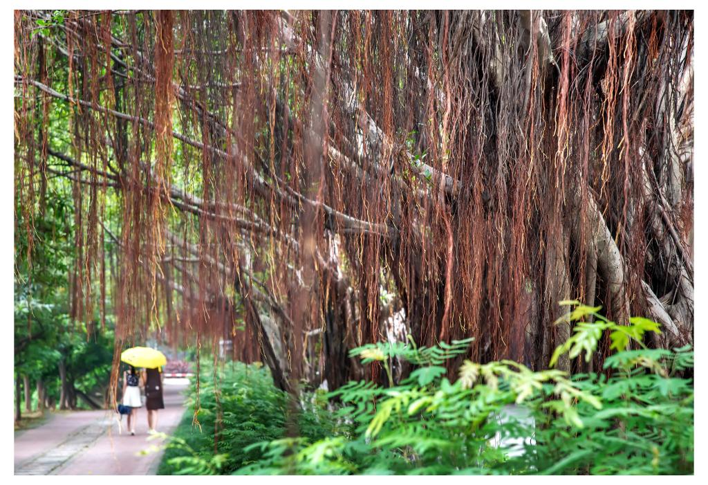 Ҽ������app����(�й�)�ٷ�������