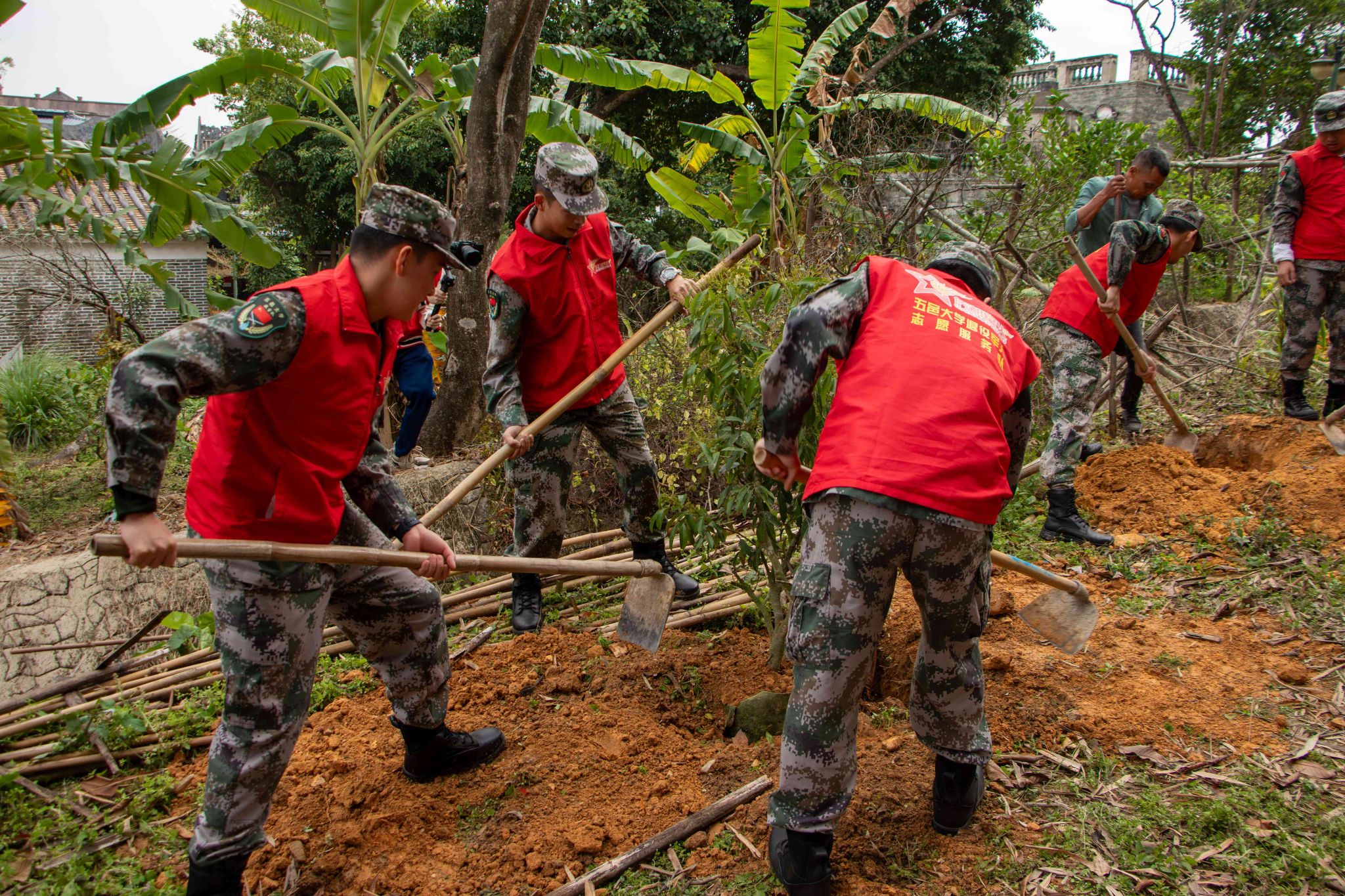 BCAF95D2634D067D7953FDADFE8_CBE1F343_BCF61