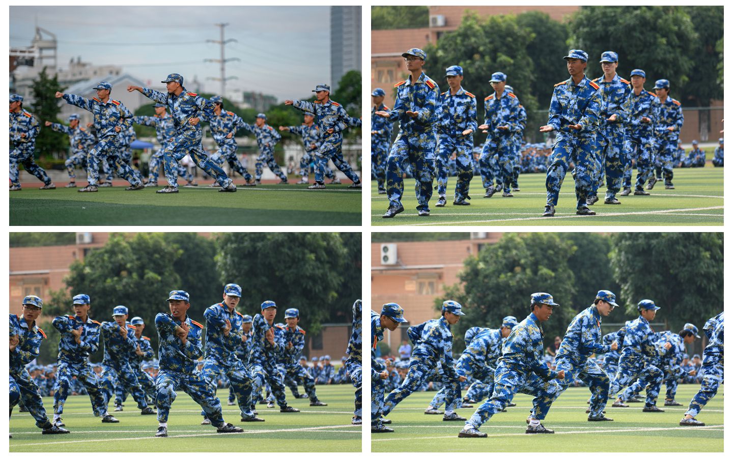 678BF8754DDDE1D0E0819B3B17B_A333D174_49BED 678BF8754DDDE1D0E0819B3B17B_A333D174_49BED