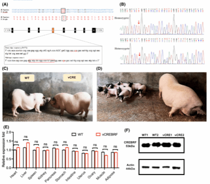 B4C61DBB5F05A5149AC82E18B4D_33BFFD07_CCC2