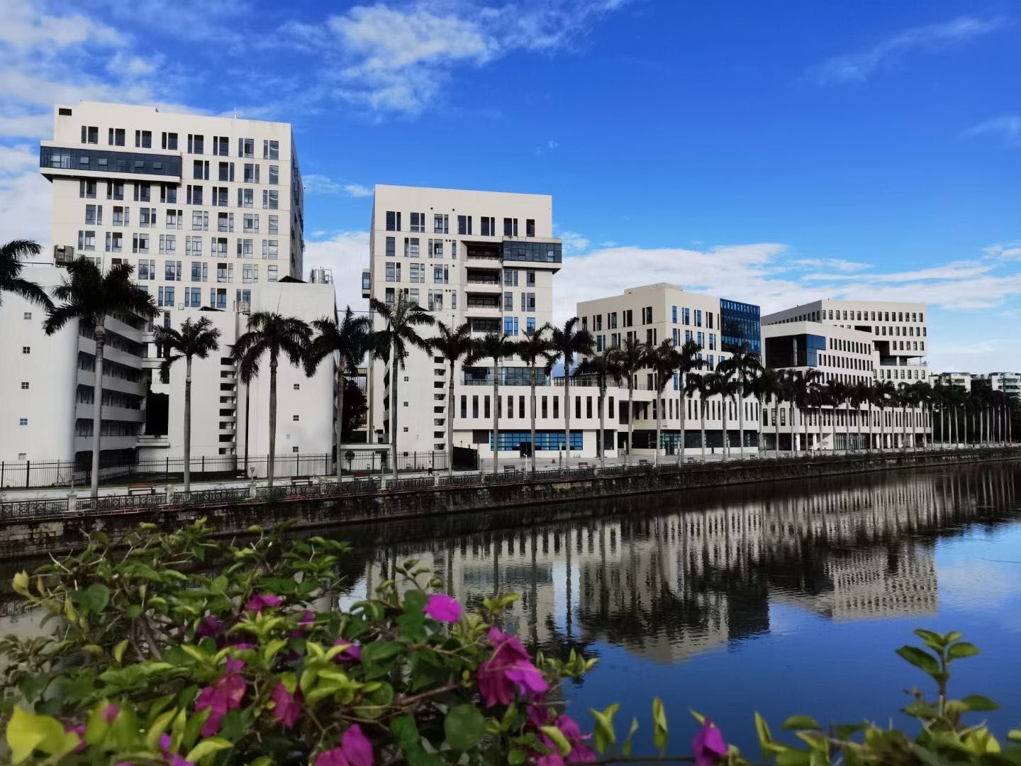 Ҽ������app����(�й�)�ٷ�������