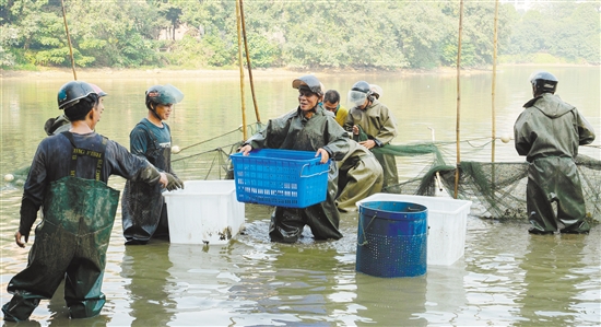 B8A0FD73ED302DCF5F9E30085B4_038A4743_2BCAD B8A0FD73ED302DCF5F9E30085B4_038A4743_2BCAD