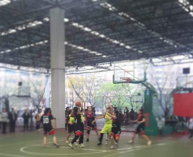 Ҽ������app����(�й�)�ٷ�������