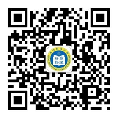 9874C630703EE7EC06C2B030268_5C85CC30_18B1D 9874C630703EE7EC06C2B030268_5C85CC30_18B1D