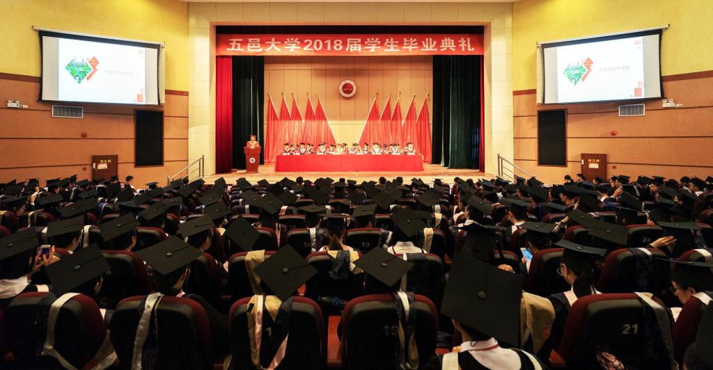 7267C6A6F616AED731D856946DF_966904A8_153F1