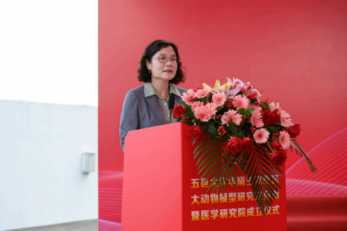 E837931E94165F423B663BDDE54_D15190AD_CC63