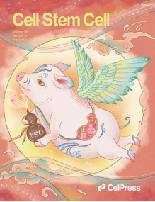 68D0B139284ADEB82A0C936869A_E8B2A71B_3D23D