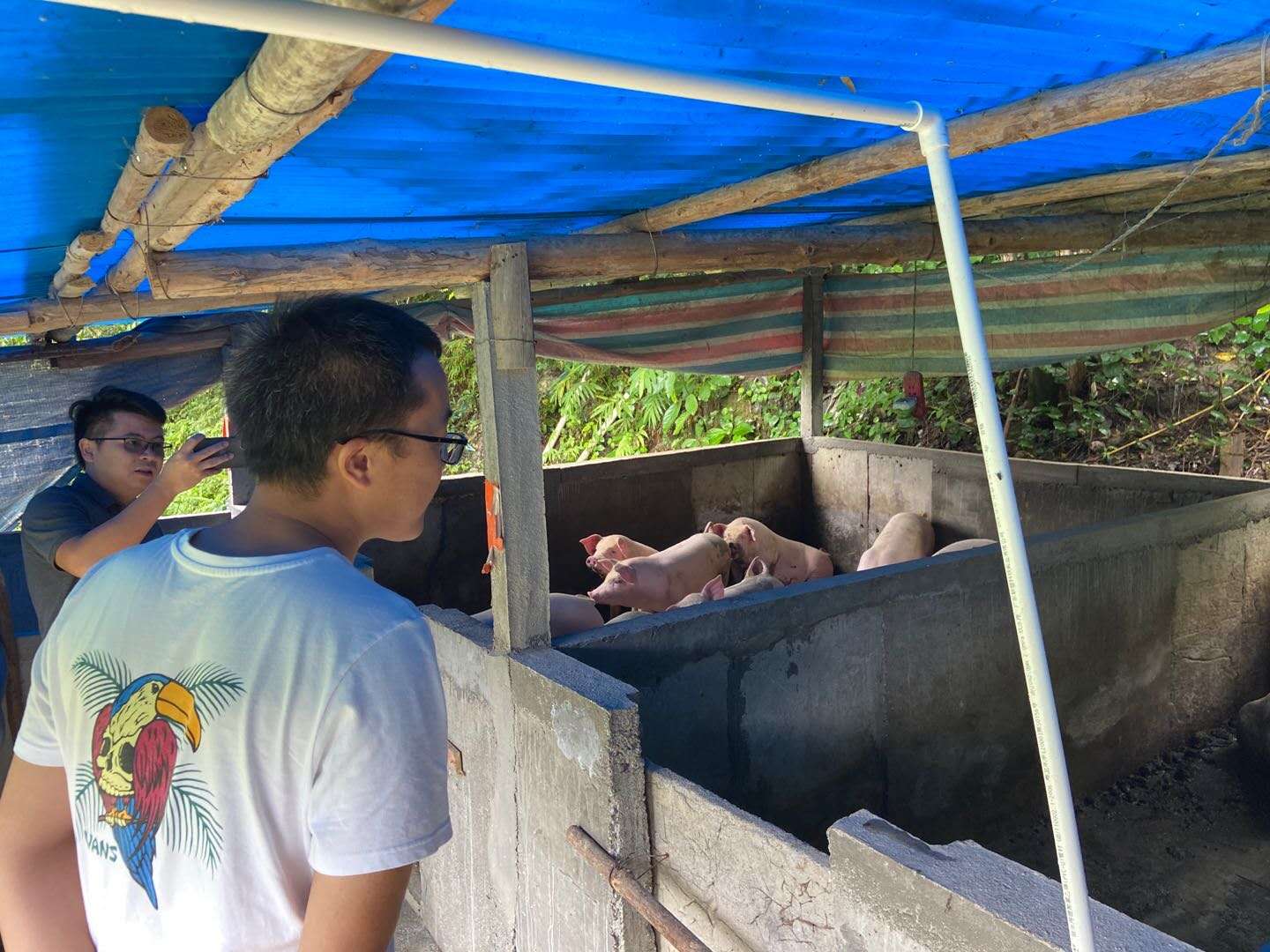 341C1D2BB966BC07584400518B1_63CF5F02_2BDD9