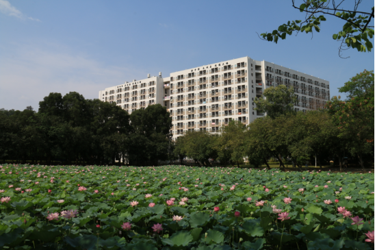 B65F92EF41D1D0157A94A4D5B34_AA3D7CE7_C3C1A