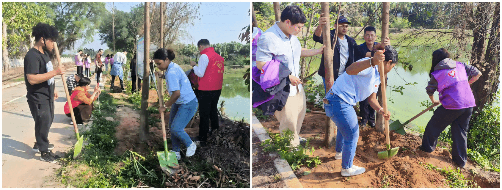 E8CACBD0B42C89C6ECEE5676763_7CA7ACC5_A5332