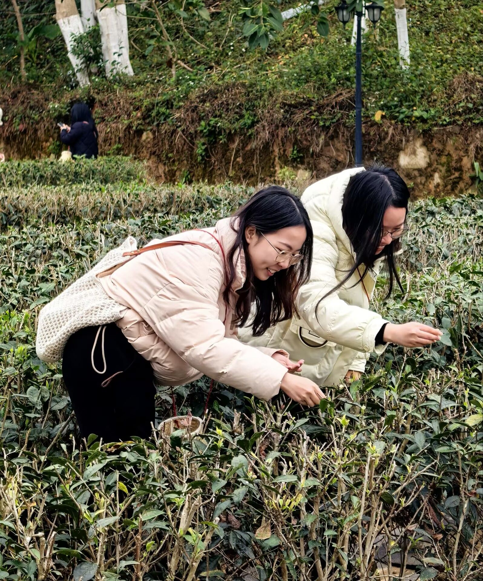 69D50FDED6A23561371EDBC8BB7_054D4067_C8E06