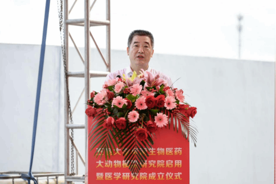 9DD61379D05A7BD47930B3A254E_705302C6_114EB 9DD61379D05A7BD47930B3A254E_705302C6_114EB