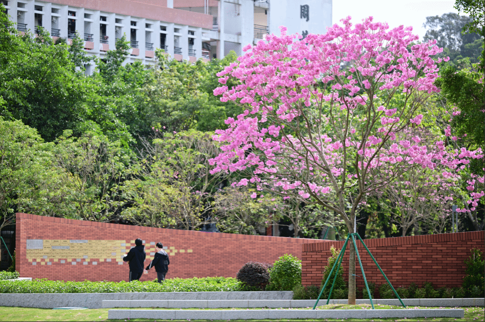 BFD13198B20B036FD64BA9A0218_5BB9783B_67579