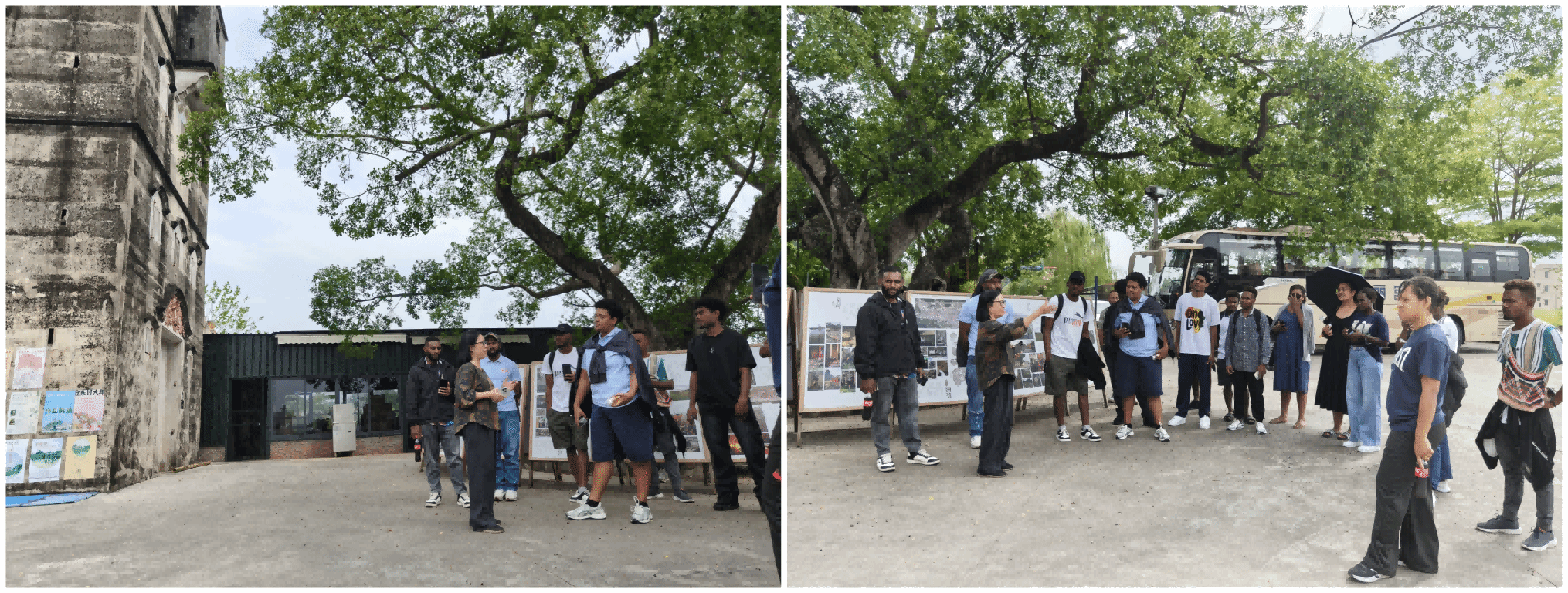 01B3FE5555F9EB8D02B583CCCE7_9D1994C3_DB15F