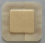 00704982180252A2EDDD8A6E45B_78E7AC53_13A1A 00704982180252A2EDDD8A6E45B_78E7AC53_13A1A