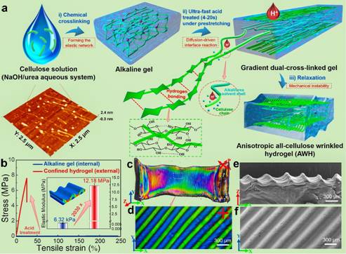 6EF0F0F362019FFD43513292B65_20D1AD08_AB89