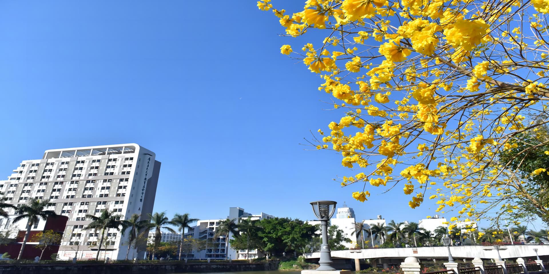 Ҽ������app����(�й�)�ٷ�������