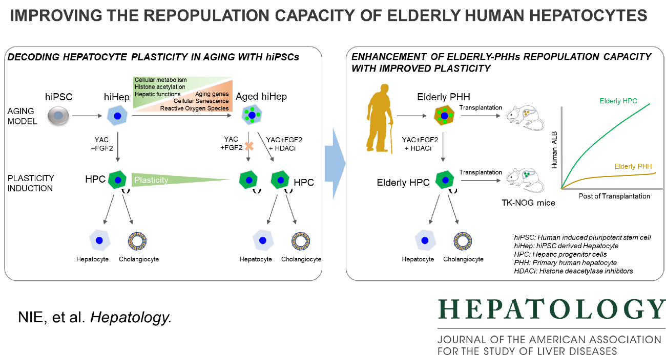 354259B448E60E953B3F624C66C_25F13205_32C86