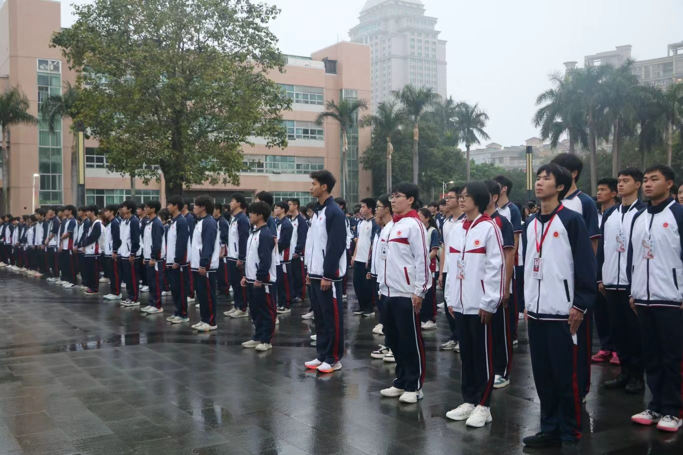 DAEC014D54548F5E7ECC2173BF6_8F83E50B_3264B