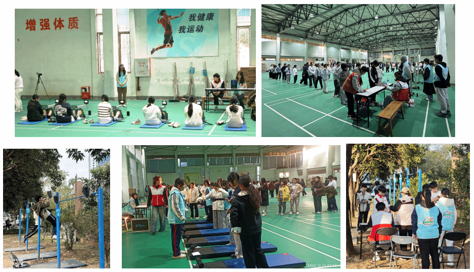 Ҽ������app����(�й�)�ٷ�������