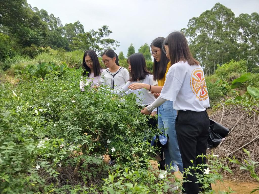 45F4399C6776EF977C8F0E78165_CF33427A_30F59