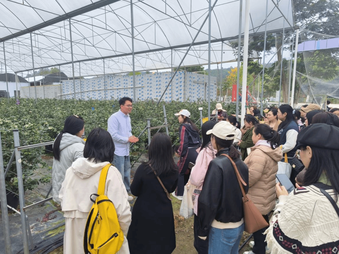 ECA083DBB57057A3CC4AECE5E8B_3904288B_8BF31 8BF31