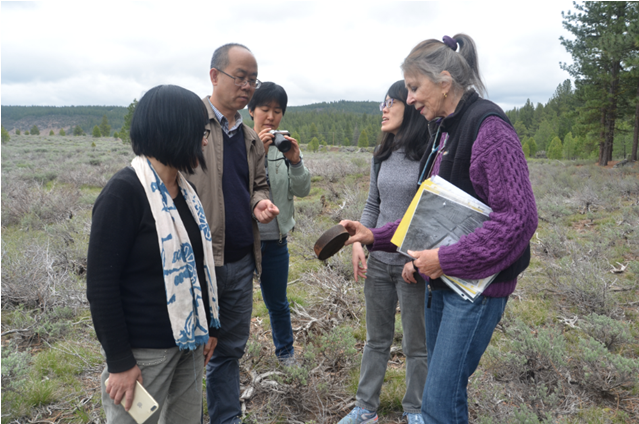 E4CA4252CCAD9FF5ECC100AFB10_D1EE0AFB_74D94