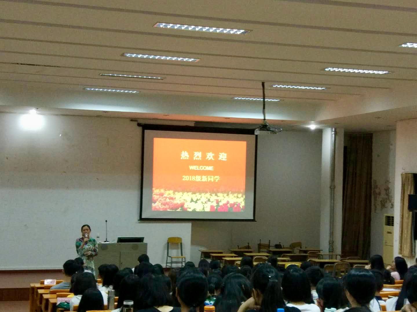 AA2BB33E96CF286E38E8378C0D0_915E66CF_1D0FB