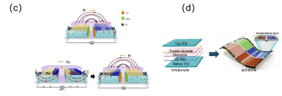 4FC82C5E00901BD6C7E1E786A9D_AA2B8006_67067