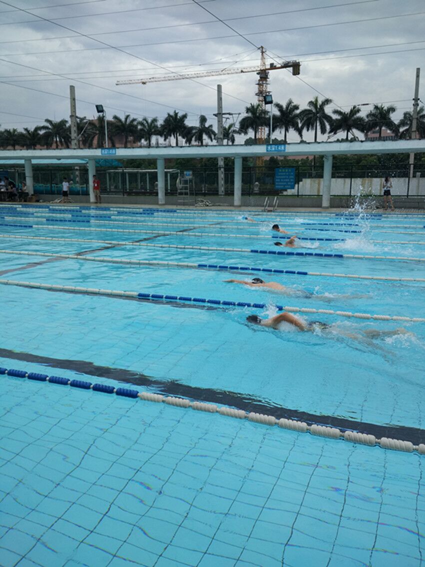 7FCF1112D92CDEB7C4E13531B7E_4C2CD1F7_25501