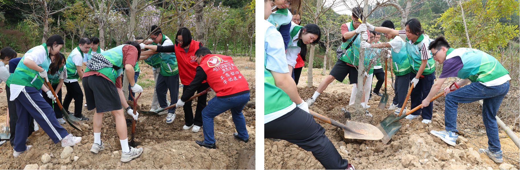 A642598EA9AFAD96CE14118F4ED_BD01D25F_5DE35