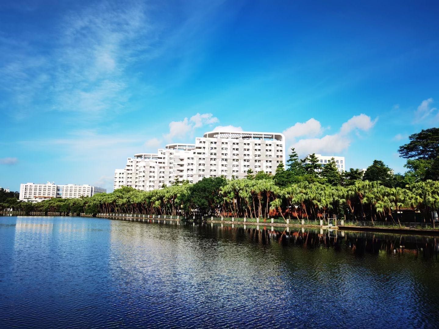 Ҽ������app����(�й�)�ٷ�������