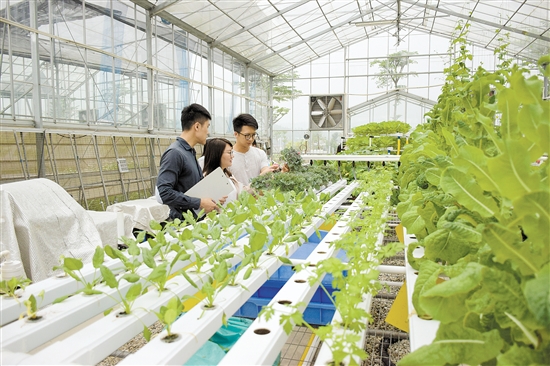 C61D0BD26BB954E0EDFEE4230B5_E309B22E_35FA9